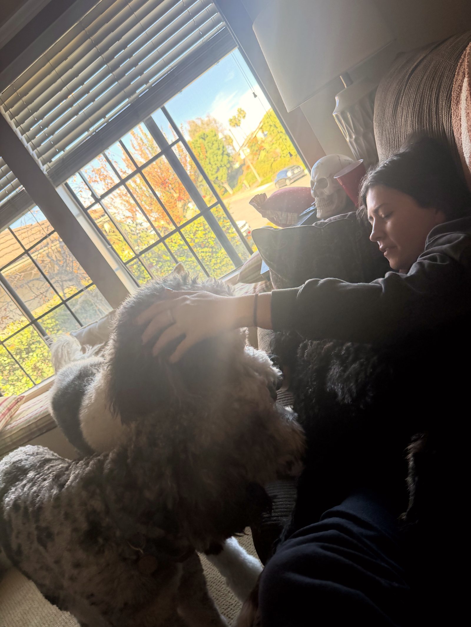 Patrick leans into a sunny couch cuddle while a woman pets his head.